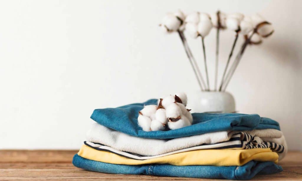 Everything you need to know about Cotton Fiber (Organic vs Natural)