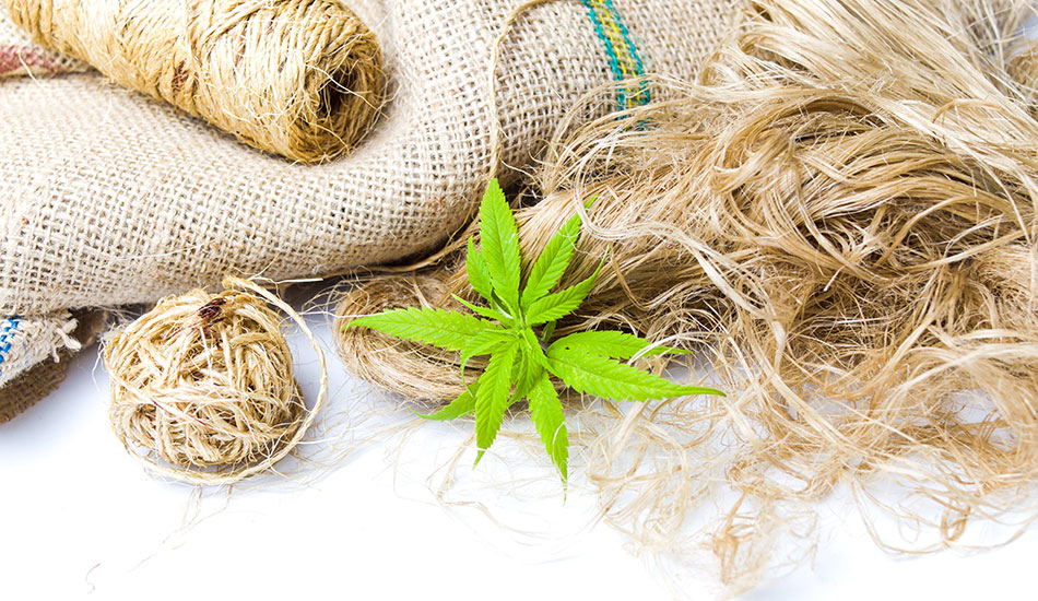 Hemp is Finding Its Place in the Fashion Industry — Again